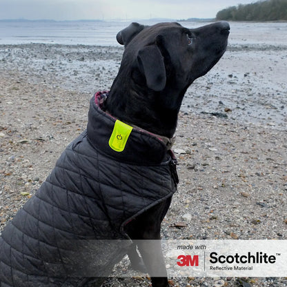 Salzmann Magnetic LED Clip, Reflective and practical Clip-On, Made with 3M Scotchlite