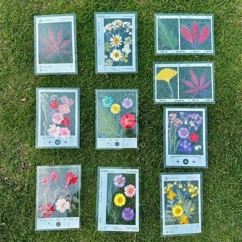 5pcs DIY Transparent Specimen Bookmarks Plastic Frame for Pressed Leaves Flowers Pressed Flowers Herbarium Journal Scrapbooking