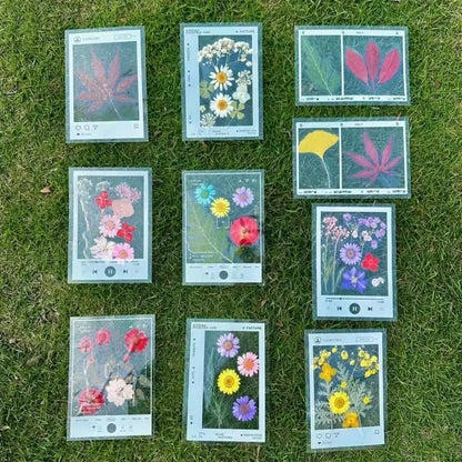 5pcs DIY Transparent Specimen Bookmarks Plastic Frame for Pressed Leaves Flowers Pressed Flowers Herbarium Journal Scrapbooking