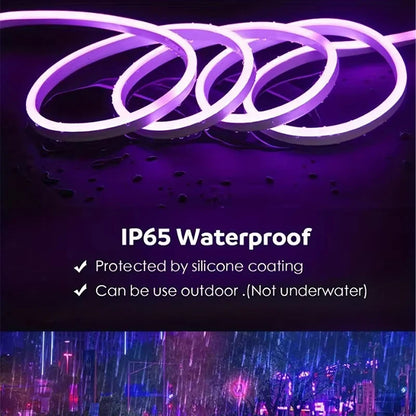 5m 12V LED Neon Strip Lights Outdoor Waterproof Silicone Neon Lamp Outdoor DIY sign Diode Tape Home Garden Decor Aquarium Light