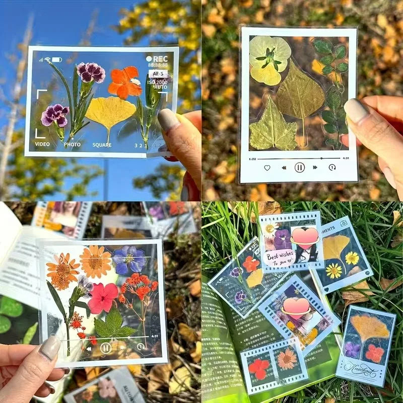 5pcs DIY Transparent Specimen Bookmarks Plastic Frame for Pressed Leaves Flowers Pressed Flowers Herbarium Journal Scrapbooking