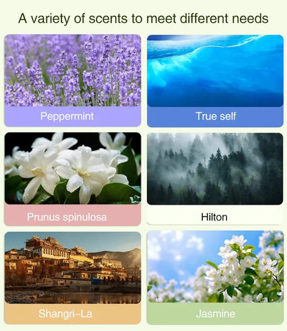 NEW Diffuser Aromatherapy Machine,Wireless Wall Hanging Portable Automatic Fragrance Spray Bathroom Toilet Deodorization