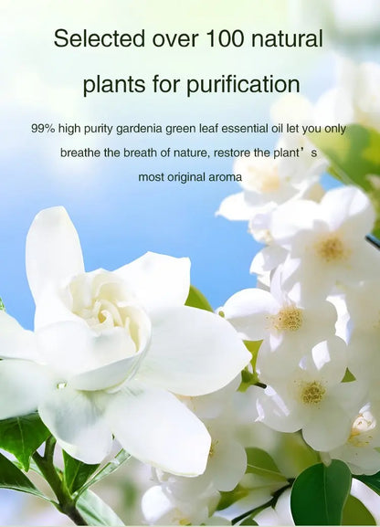 NEW Diffuser Aromatherapy Machine,Wireless Wall Hanging Portable Automatic Fragrance Spray Bathroom Toilet Deodorization
