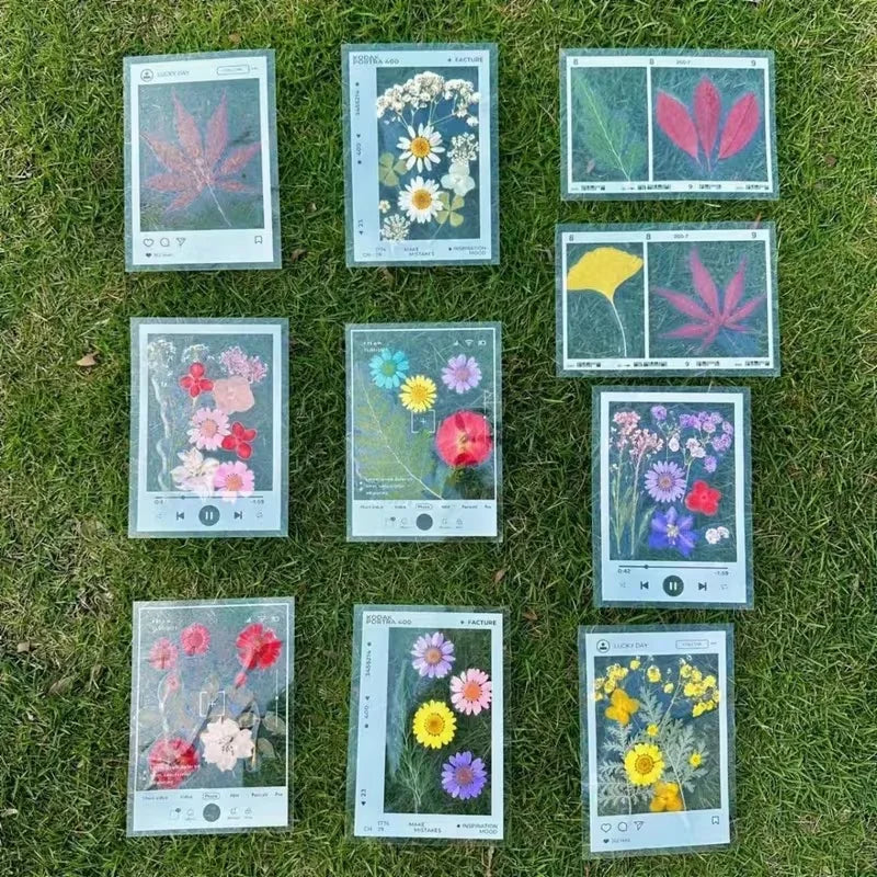 5pcs DIY Transparent Specimen Bookmarks Plastic Frame for Pressed Leaves Flowers Pressed Flowers Herbarium Journal Scrapbooking