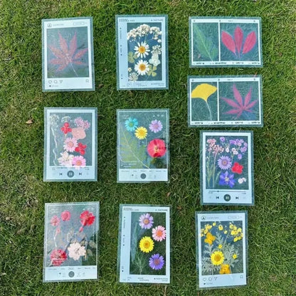 5pcs DIY Transparent Specimen Bookmarks Plastic Frame for Pressed Leaves Flowers Pressed Flowers Herbarium Journal Scrapbooking