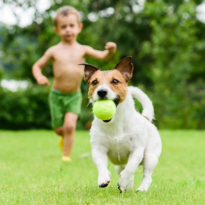Tennis Training Ball with String Tennis Balls With Elastic Rope Tennis Training Partner Rebound Practice Ball Self Practice Tool